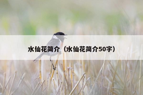 水仙花简介（水仙花简介50字）