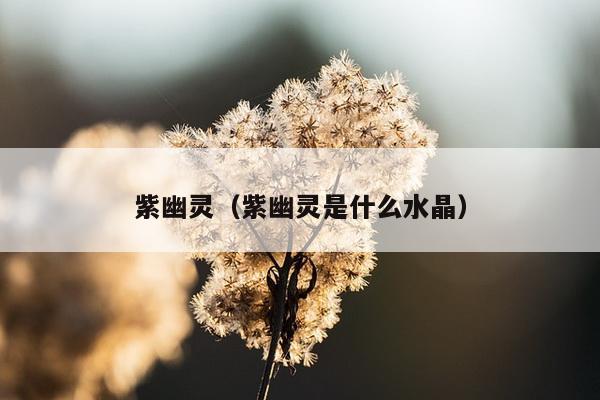 紫幽灵（紫幽灵是什么水晶）