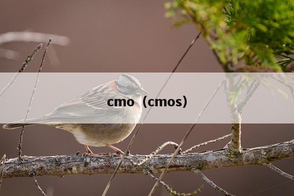 cmo（cmos）