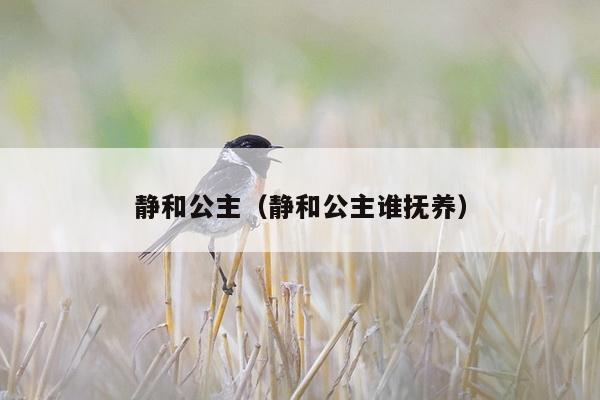 静和公主（静和公主谁抚养）