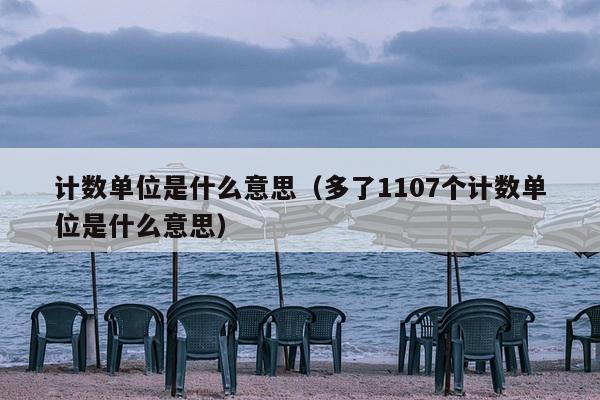 计数单位是什么意思（多了1107个计数单位是什么意思）