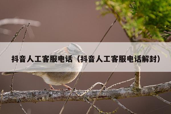 抖音人工客服电话（抖音人工客服电话解封）