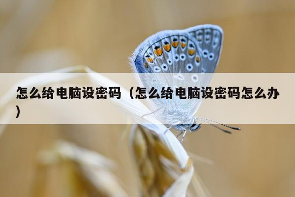 怎么给电脑设密码（怎么给电脑设密码怎么办）