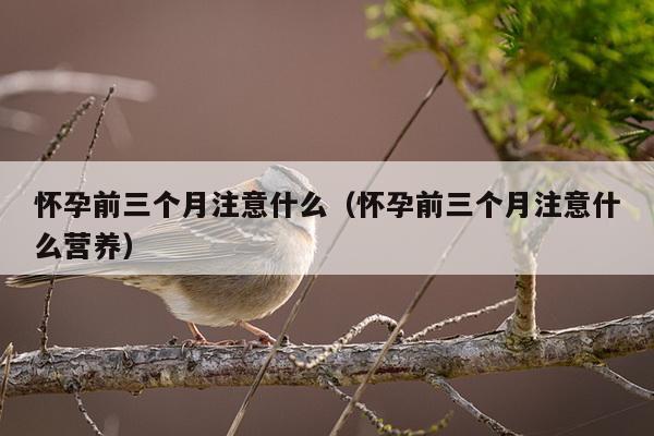 怀孕前三个月注意什么（怀孕前三个月注意什么营养）