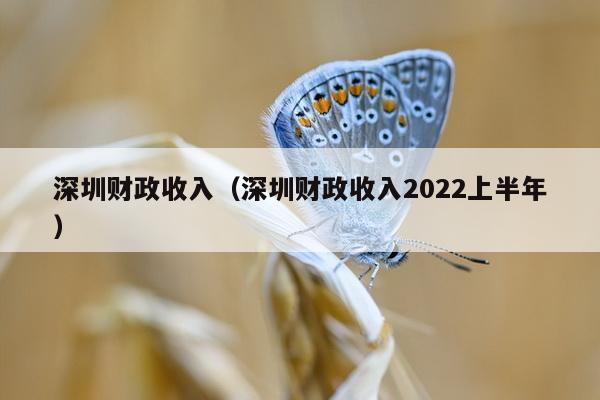 深圳财政收入（深圳财政收入2022上半年）