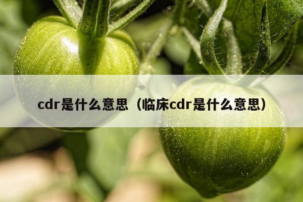 cdr是什么意思（临床cdr是什么意思）