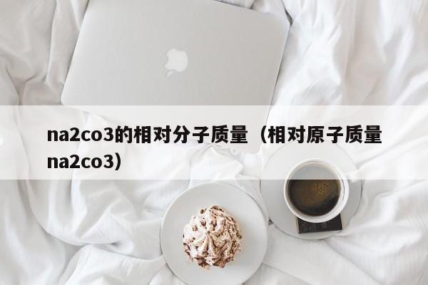 na2co3的相对分子质量（相对原子质量na2co3）