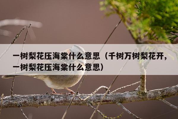 一树梨花压海棠什么意思（千树万树梨花开,一树梨花压海棠什么意思）