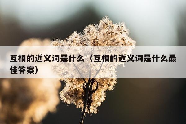 互相的近义词是什么（互相的近义词是什么最佳答案）