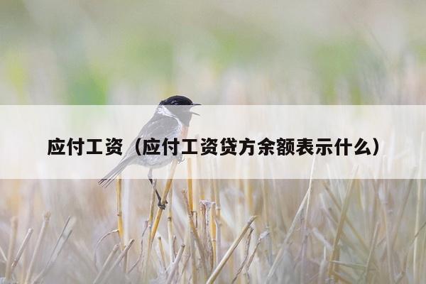 应付工资（应付工资贷方余额表示什么）