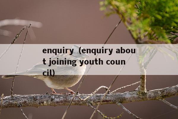 enquiry（enquiry about joining youth council）