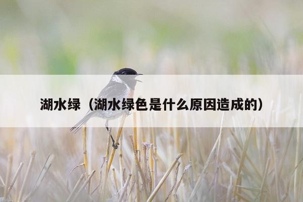 湖水绿（湖水绿色是什么原因造成的）