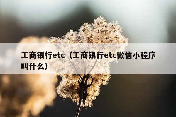 工商银行etc（工商银行etc微信小程序叫什么）