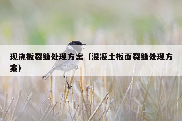 现浇板裂缝处理方案（混凝土板面裂缝处理方案）