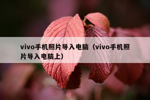 vivo手机照片导入电脑（vivo手机照片导入电脑上）