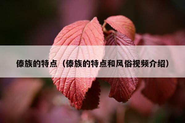 傣族的特点（傣族的特点和风俗视频介绍）