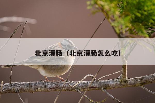 北京灌肠（北京灌肠怎么吃）