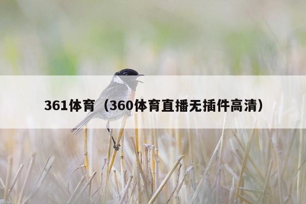 361体育（360体育直播无插件高清）