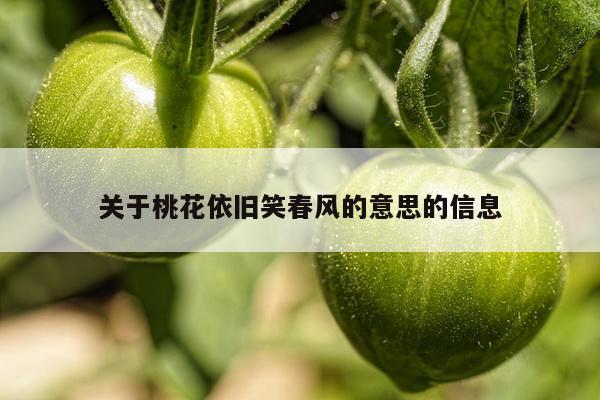 关于桃花依旧笑春风的意思的信息