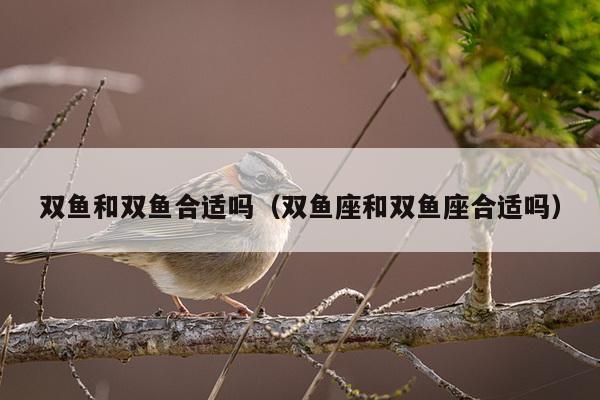 双鱼和双鱼合适吗（双鱼座和双鱼座合适吗）