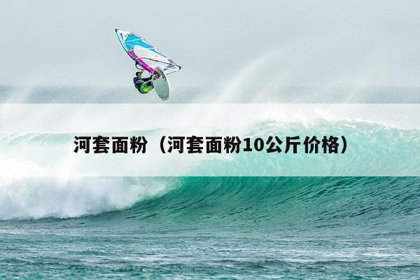 河套面粉（河套面粉10公斤价格）