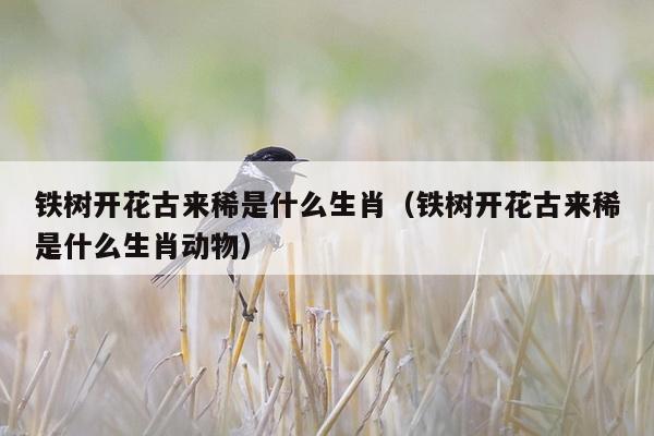 铁树开花古来稀是什么生肖（铁树开花古来稀是什么生肖动物）