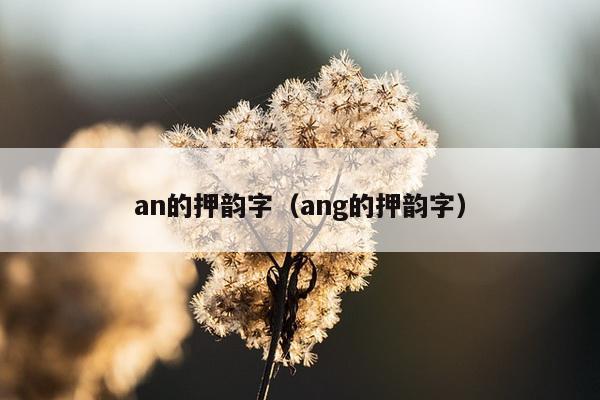 an的押韵字（ang的押韵字）