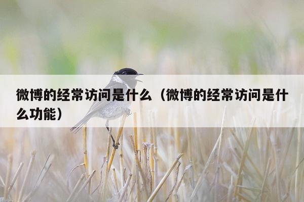 微博的经常访问是什么（微博的经常访问是什么功能）