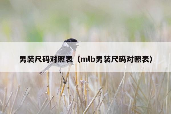 男装尺码对照表（mlb男装尺码对照表）