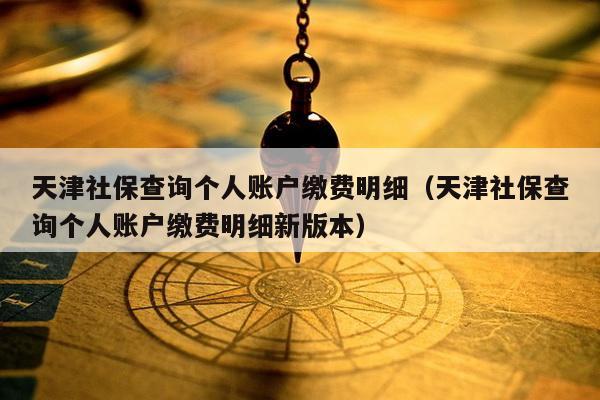 天津社保查询个人账户缴费明细（天津社保查询个人账户缴费明细新版本）