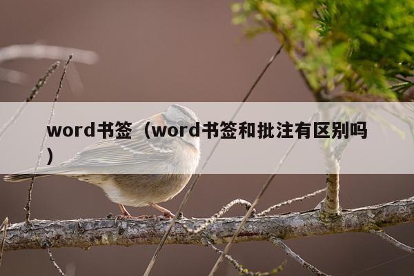 word书签（word书签和批注有区别吗）