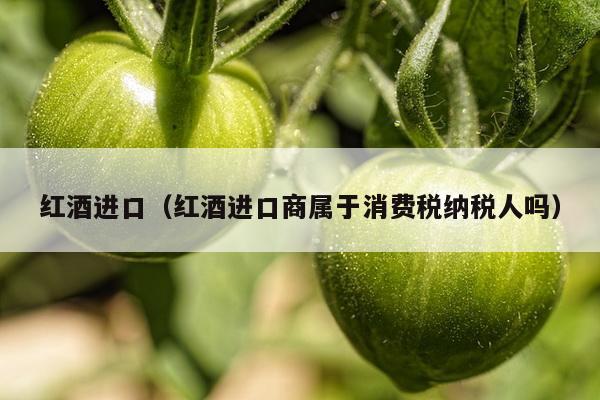 红酒进口（红酒进口商属于消费税纳税人吗）