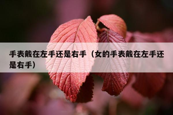 手表戴在左手还是右手（女的手表戴在左手还是右手）