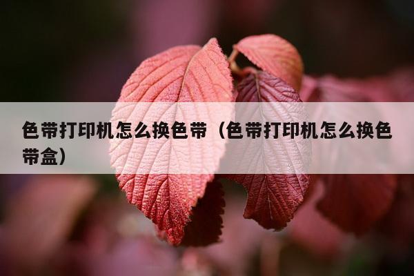 色带打印机怎么换色带（色带打印机怎么换色带盒）