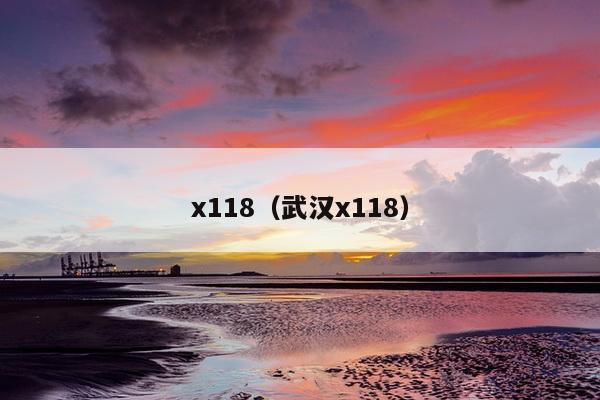 x118（武汉x118）