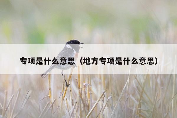 专项是什么意思（地方专项是什么意思）