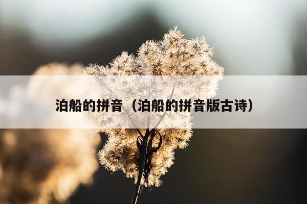 泊船的拼音（泊船的拼音版古诗）