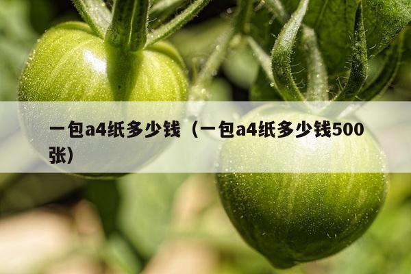 一包a4纸多少钱（一包a4纸多少钱500张）