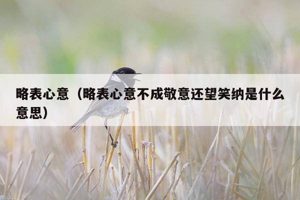 略表心意（略表心意不成敬意还望笑纳是什么意思）