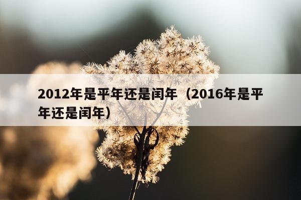 2012年是平年还是闰年（2016年是平年还是闰年）