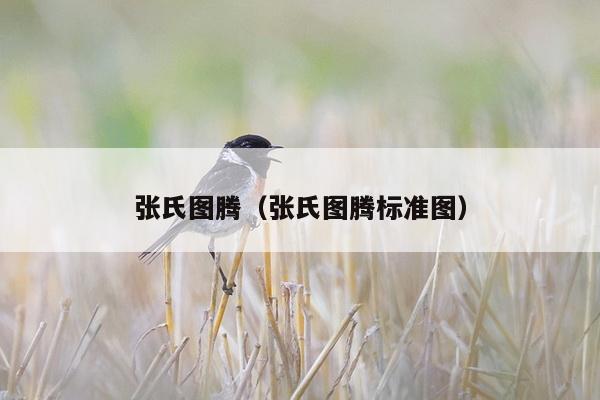 张氏图腾（张氏图腾标准图）