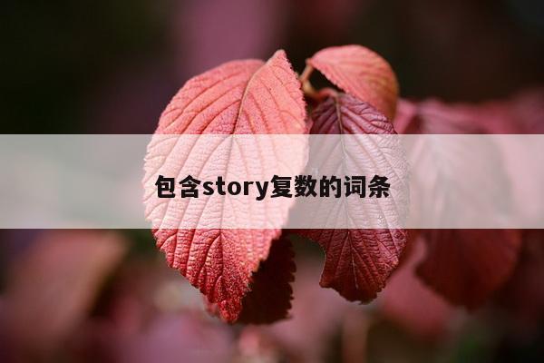 包含story复数的词条