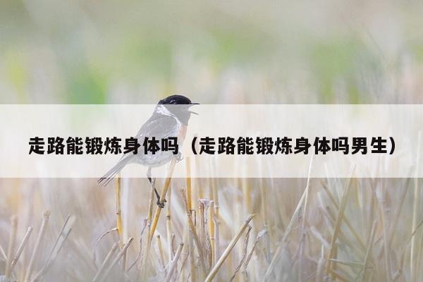 走路能锻炼身体吗（走路能锻炼身体吗男生）