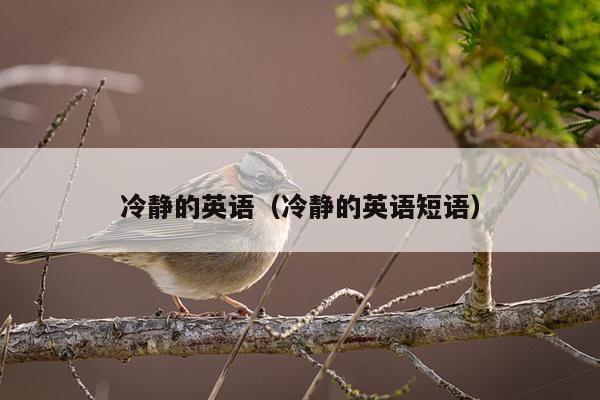 冷静的英语（冷静的英语短语）