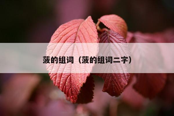 菠的组词（菠的组词二字）