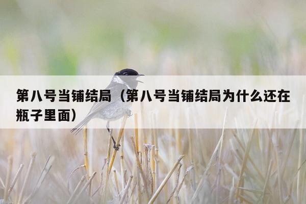 第八号当铺结局（第八号当铺结局为什么还在瓶子里面）