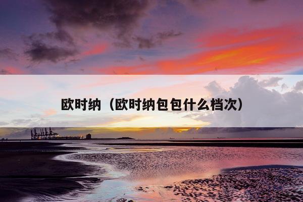 欧时纳（欧时纳包包什么档次）