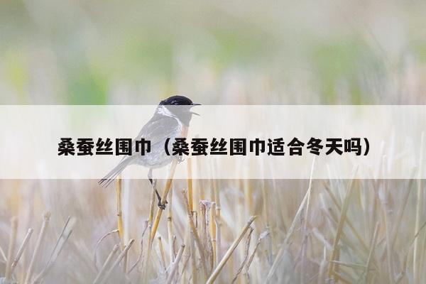 桑蚕丝围巾（桑蚕丝围巾适合冬天吗）