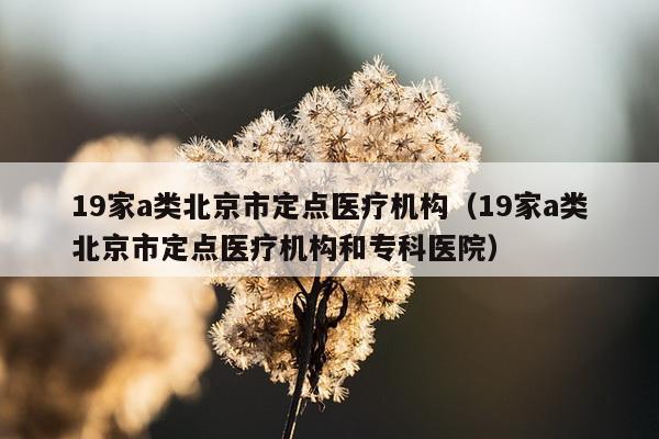 19家a类北京市定点医疗机构（19家a类北京市定点医疗机构和专科医院）