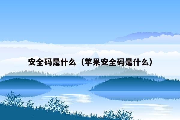 安全码是什么（苹果安全码是什么）